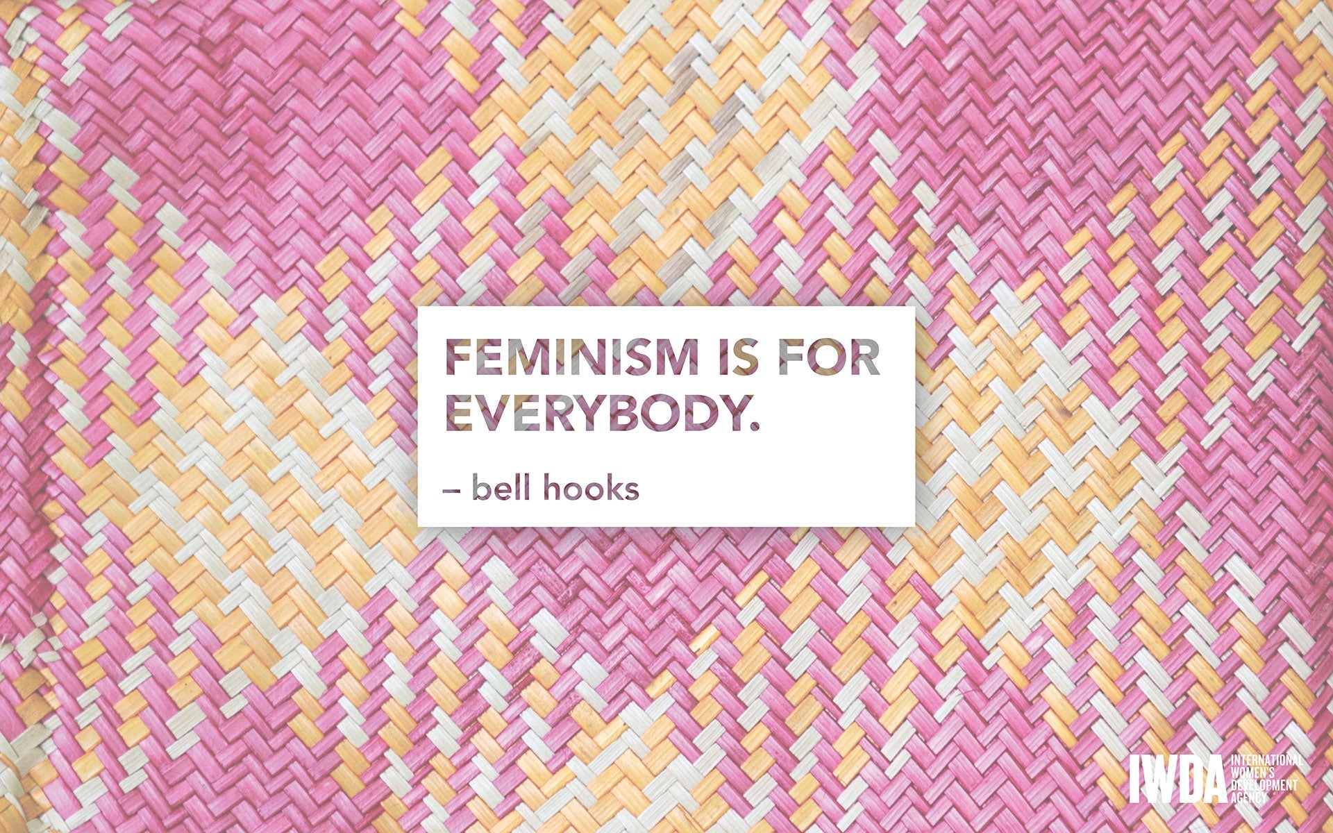 feminism is for everybody
